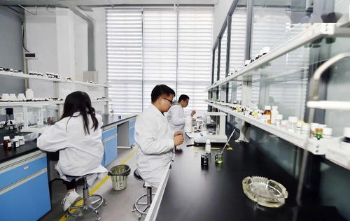 工業遺產蝶變記 昆明茨壩生物科技小鎮，打造生命科學新引擎